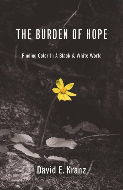 David E Kranz - Burden of Hope, E-bok. Tillgänglighet: Lägg i varukorg