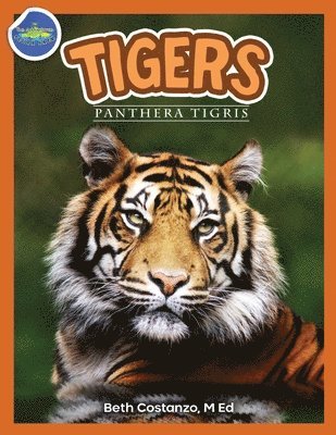 Beth Costanzo - Tigers, Panthera Tigris ages 2-4, Häftad