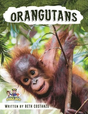 Beth Costanzo - Orangutan Activity Workbook for Kids age 4-8!, Häftad
