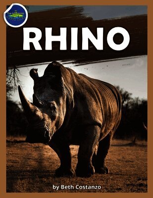 Beth Costanzo - Rhino workbook ages 2-4, Häftad