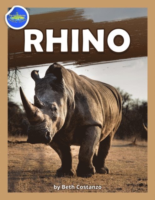 Beth COSTANZO - Rhino workbook ages 2-4, E-bok