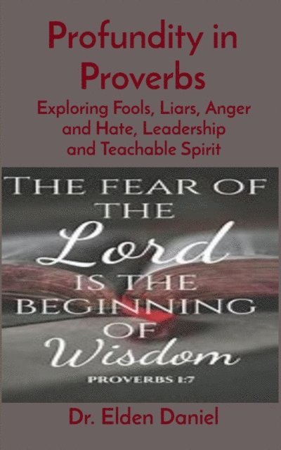 Daniel - Profundity in Proverbs, E-bok
