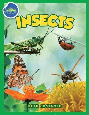 Bugs in My Backyard for Kids