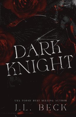 J L Beck - Dark Knight, Häftad