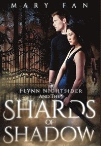 Flynn Nightsider and the Shards of Shadow