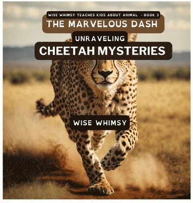 Wise Whimsy - Marvelous Dash, Inbunden. Tillgänglighet: Lägg i varukorg