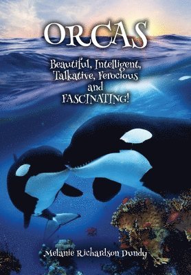 ORCAS - Beautiful, Intelligent, Talkative, Ferocious, Fascinating
