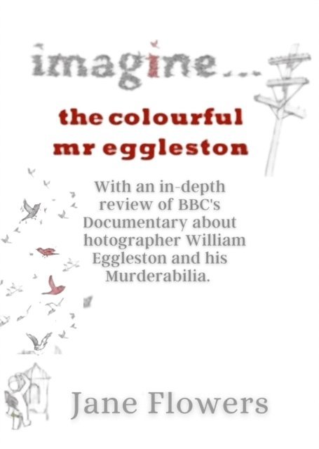 Jane Flowers - Imagine The Colorful Mr. Eggleston, E-bok