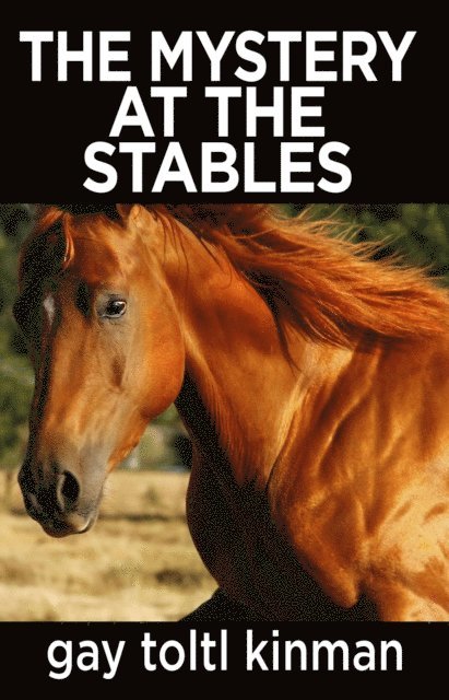 gay toltl kinman - Mystery at The Stables, E-bok