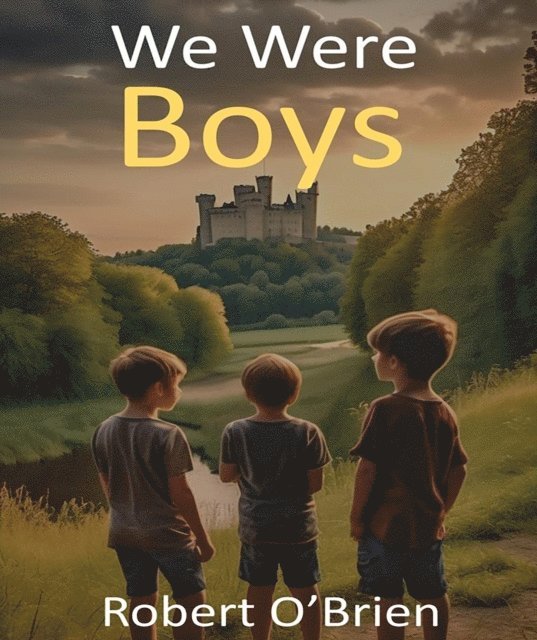 Robert OBrien - We Were Boys, E-bok