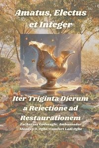 Amatus, Electus et Integer - Iter Triginta Dierum a Reiectione ad Restaurationem