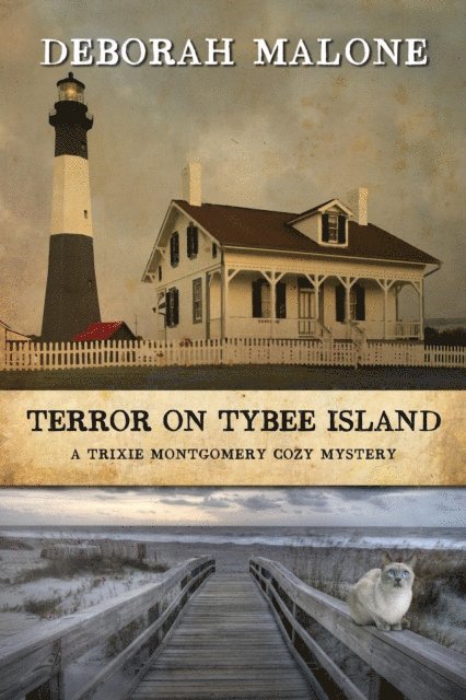 Deborah Malone - Terror on Tybee Island, E-bok