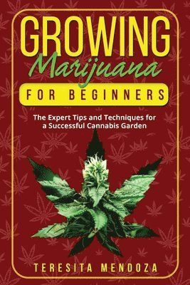 Growing Marijuana for Beginners