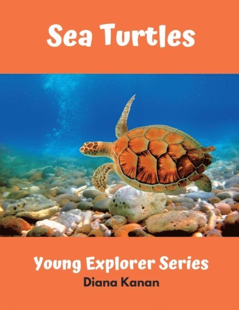 Diana Kanan - Sea Turtles, E-bok