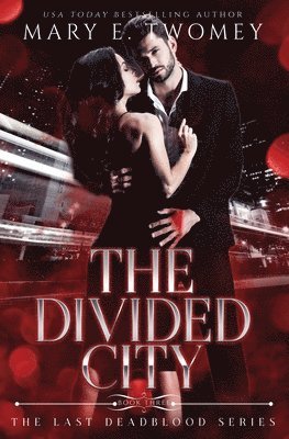 Mary E Twomey - Divided City, Häftad