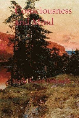 Mark Rozen Pettinelli - Consciousness and Mind, Häftad. Tillgänglighet: Lägg i varukorg