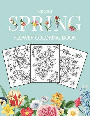 Bucur House - Flower Coloring Book, Häftad. Tillgänglighet: Lägg i varukorg