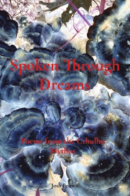 Josh Brown - Spoken Through Dreams, E-bok