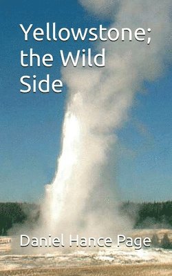 Daniel Hance Page - Yellowstone; the Wild Side, Häftad