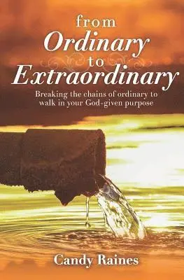 Candy Raines - From Ordinary to Extraordinary: Breaking the chains or ordinary to walk in your God-given purpose, Häftad. Tillgänglighet: Lägg i varukorg