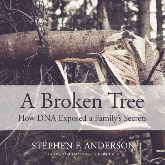 Stephen F. Anderson - Broken Tree, Ljudbok