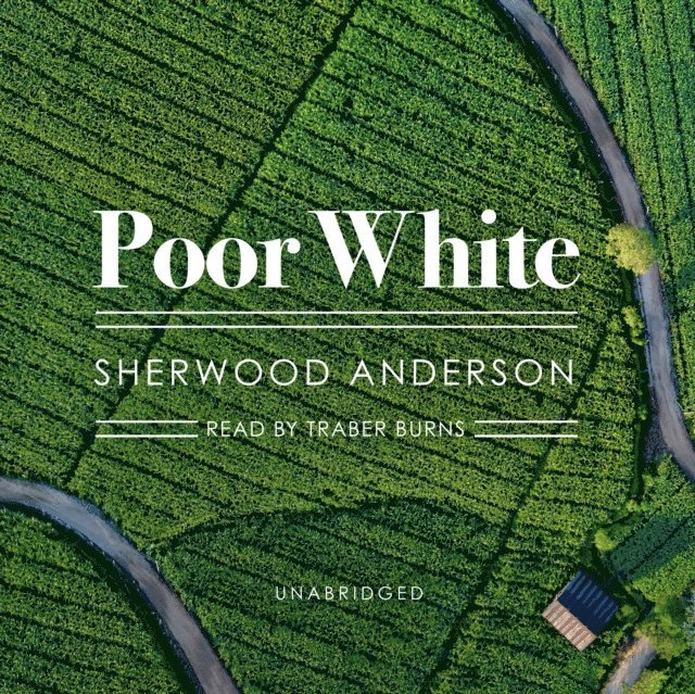 Sherwood Anderson - Poor White, Ljudbok