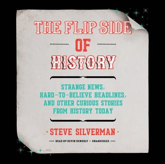 Steve Silverman - Flip Side of History, Ljudbok. Tillgänglighet: Lägg i varukorg