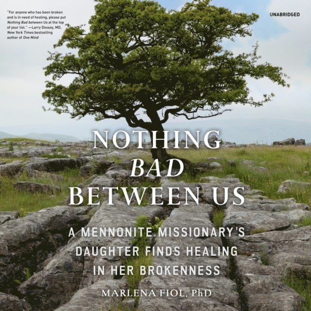 Marlena Fiol PhD - Nothing Bad between Us, Ljudbok