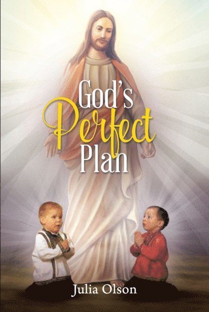 Julia Olson - God's Perfect Plan, E-bok