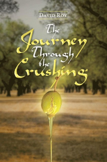 David Roy - Journey Through the Crushing, E-bok