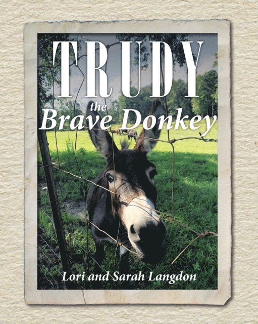 Sarah Langdon, Lori - Trudy the Brave Donkey, E-bok