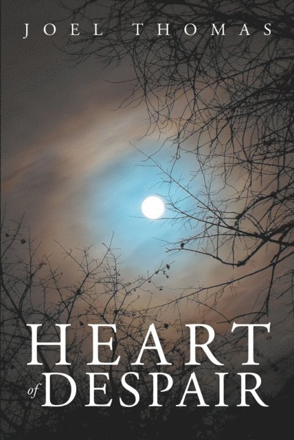Joel Thomas - Heart of Despair, E-bok