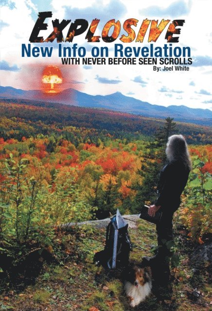 Joel White - Explosive New Info on Revelation with Never Before Seen Scrolls, E-bok