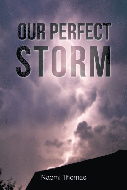 Naomi Thomas - Our Perfect Storm, E-bok