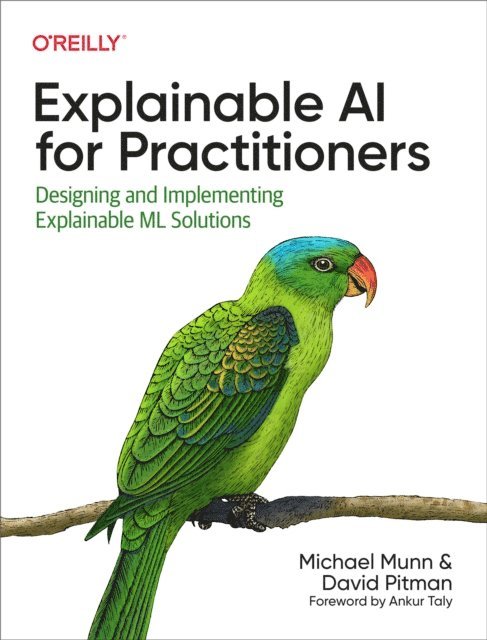 David Pitman, Michael Munn - Explainable AI for Practitioners, E-bok