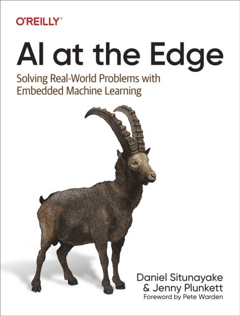 Jenny Plunkett, Daniel Situnayake - AI at the Edge, E-bok