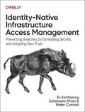 Identity-Native Infrastructure Access Management