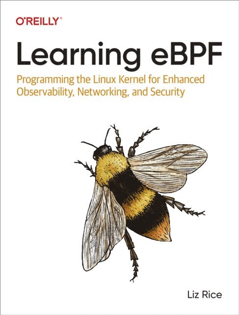 Liz Rice - Learning eBPF, E-bok