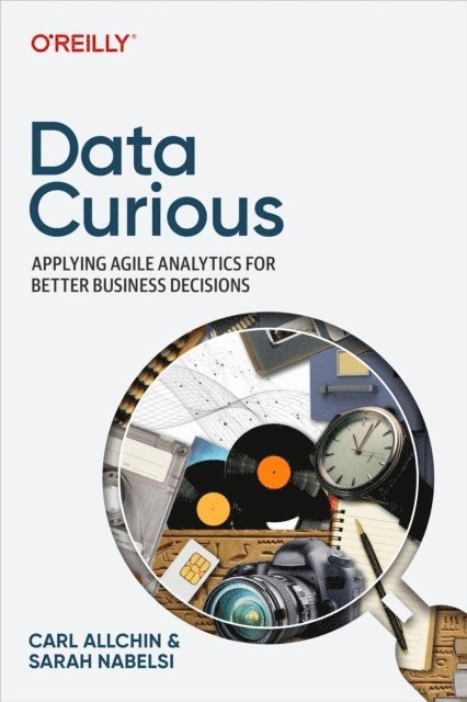 Sarah Nabelsi, Carl Allchin - Data Curious, E-bok