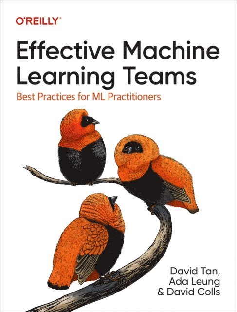 David Colls, Ada Leung, David Tan - Effective Machine Learning Teams, E-bok
