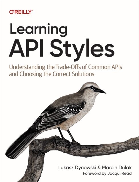 Marcin Dulak, Lukasz Dynowski - Learning API Styles, E-bok