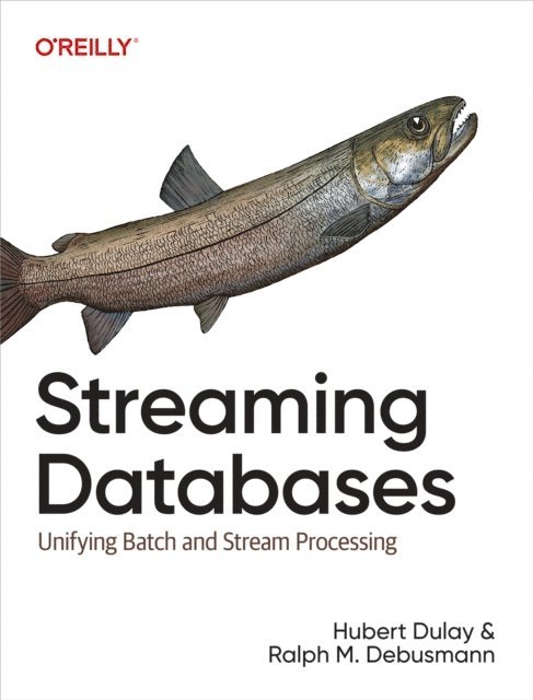 Ralph Matthias Debusmann, Hubert Dulay - Streaming Databases, E-bok