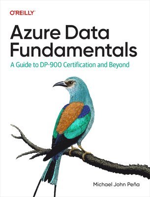Michael John Pena - Azure Data Fundamentals, E-bok