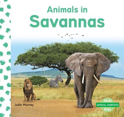 Julie Murray - Animals in Savannas, Inbunden