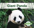 Giant Panda