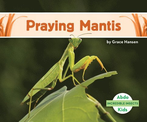 Grace Hansen - Praying Mantis, Inbunden. Tillgänglighet: Lägg i varukorg
