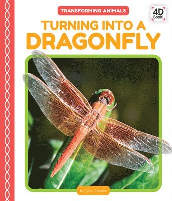 Tyler Gieseke - Turning Into a Dragonfly, Inbunden