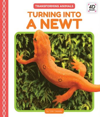 Tyler Gieseke - Turning Into a Newt, Inbunden