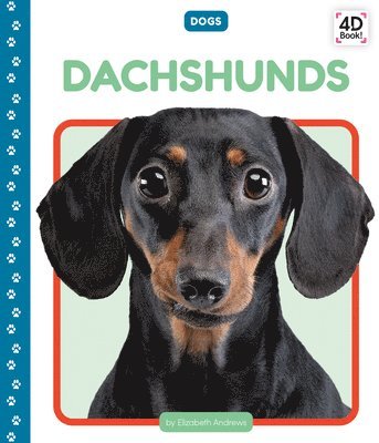 Elizabeth Andrews - Dachshunds, Inbunden