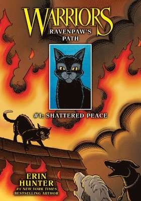 Erin Hunter - Ravenpaw's Path #1: Shattered Peace: Shattered Peace, Inbunden. Tillgänglighet: Lägg i varukorg